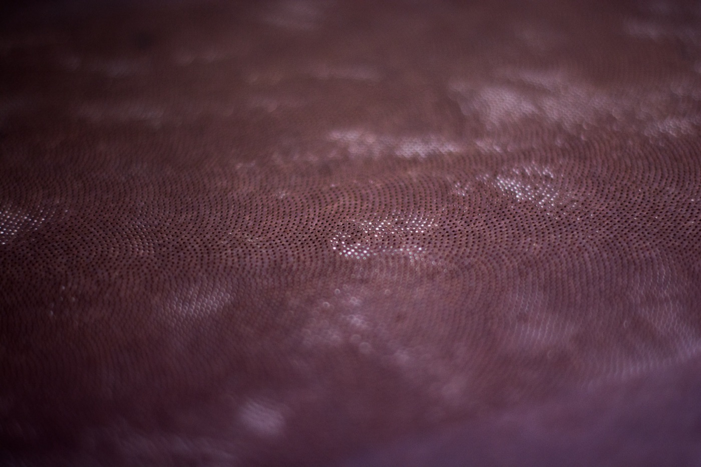 Edo Komon dyeing workshop — 18