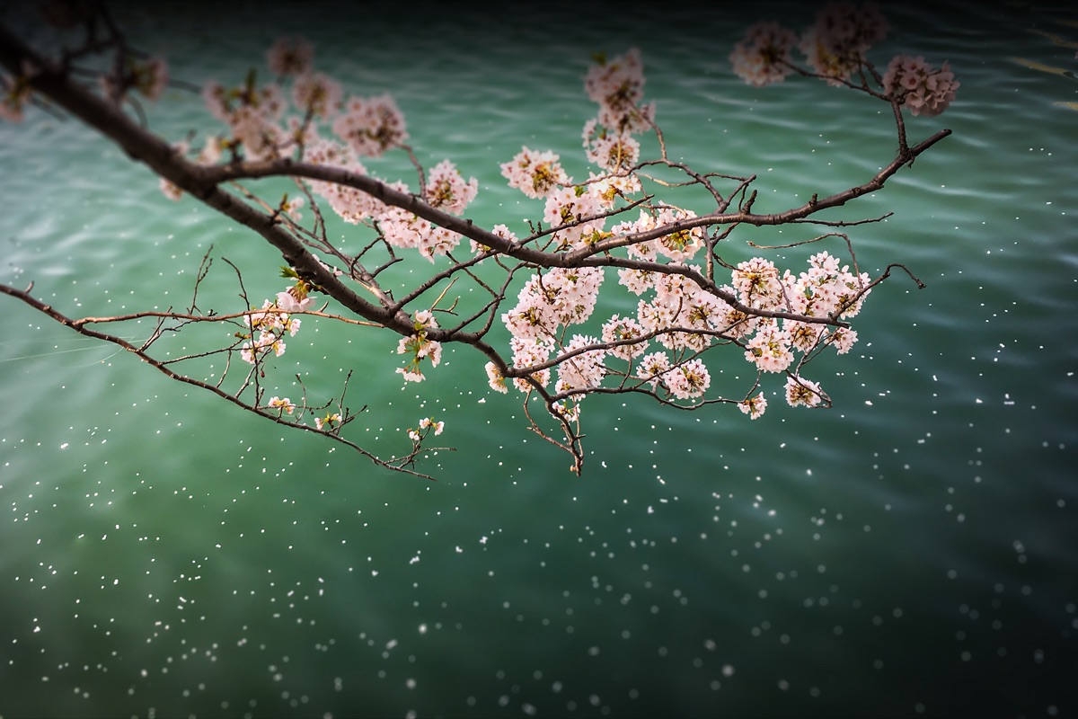 Photography by John Hepburn